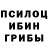 Псилоцибиновые грибы мухоморы Vins high