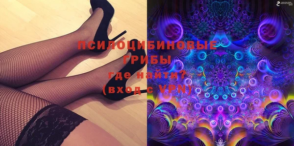 прущие грибы Краснослободск