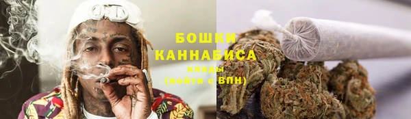 прущие грибы Краснослободск